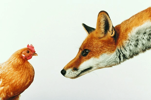 This image has an empty alt attribute; its file name is image-1.png